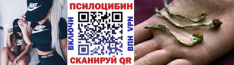 даркнет состав  omg как зайти  Галлюциногенные грибы Magic Shrooms  Унеча  где найти  
