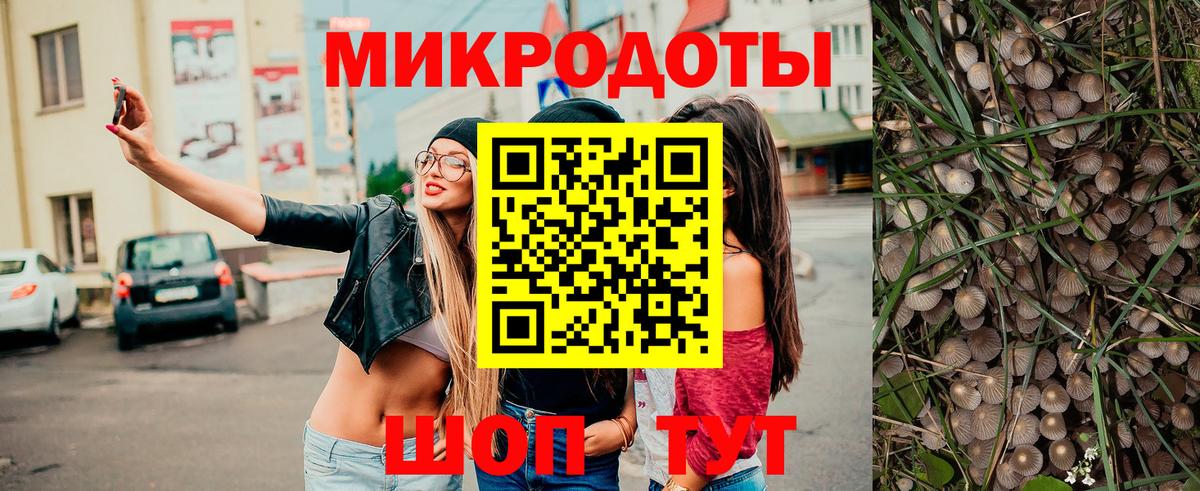 Унеча  Псилоцибиновые грибы ЛСД  Вход с VPN  купить   Галлюциногенные грибы мицелий 